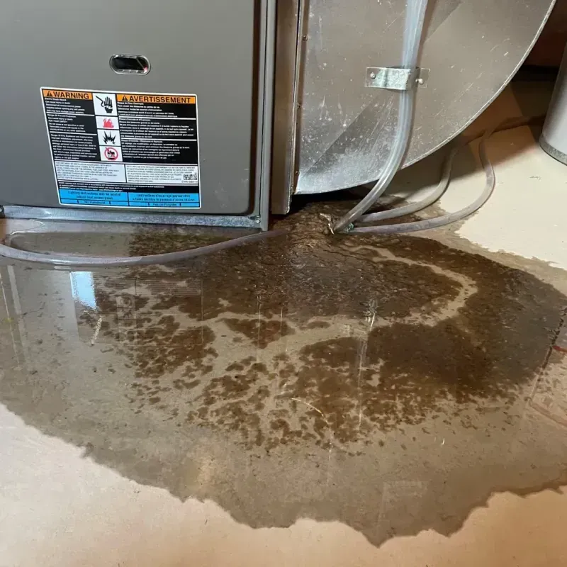 Appliance Leak Cleanup in Currituck, NC